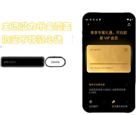 API 接入界面